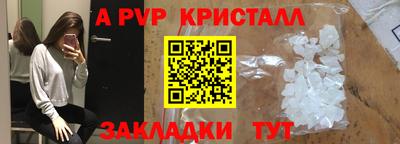 не бодяженный Кингисепп
