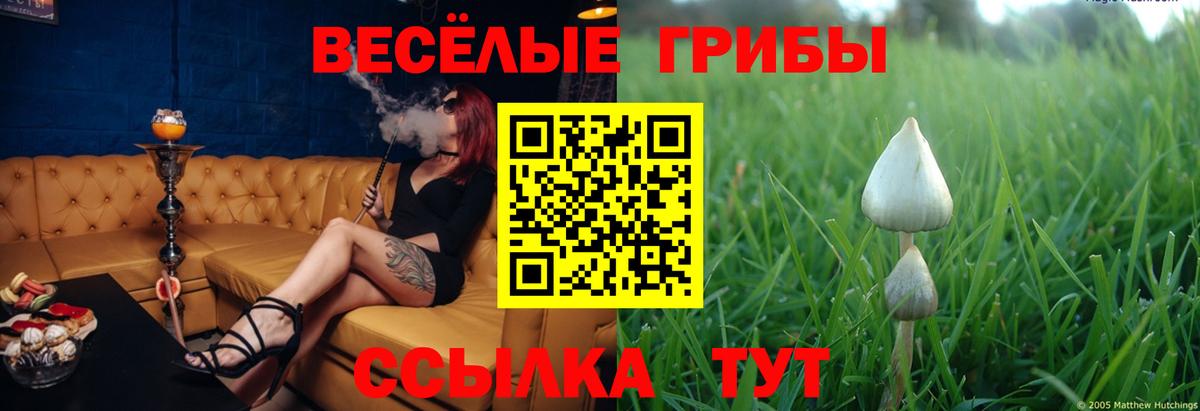 Псилоцибиновые грибы прущие грибы  закладка  Краснодар  Вход с VPN 